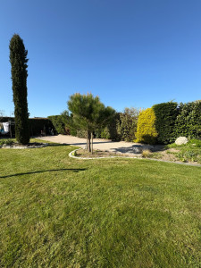 Photo de galerie - Tonte de pelouse - Débroussaillage