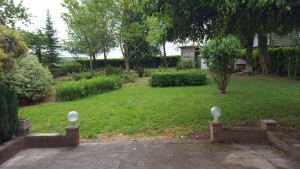 Photo de galerie - Extérieur sécurisé et accesible aux animaux.