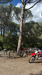 Photo de galerie - Lavage vélo et moto 