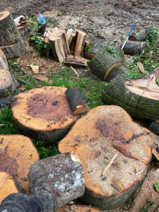 Photo de galerie - Fendage 