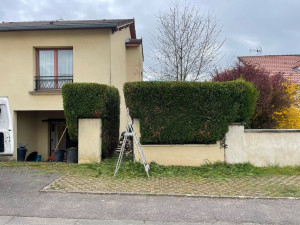 Photo de galerie - Taille de haies et d'arbustes