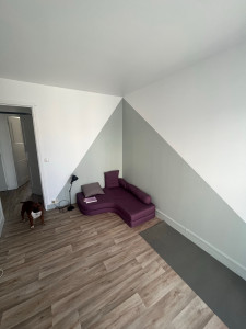 Photo de galerie - Enduits général murs et plafond + peinture 