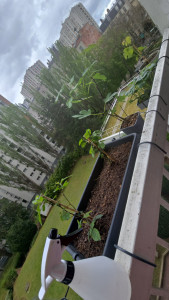 Photo de galerie - Jardinier