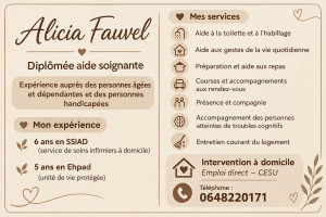 Photo de galerie - Carte renseignement cesu 