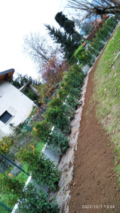 Photo de galerie - Paysagiste - Aménagement du jardin