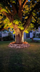 Photo de galerie - Paysagiste - Aménagement du jardin