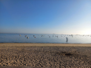 Photo de galerie - Sorties 