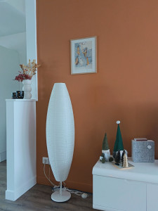 Photo de galerie - Mise en peinture murale 