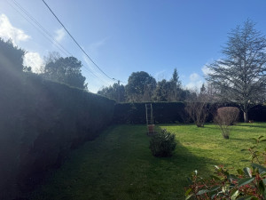 Photo de galerie - Taille de haies 