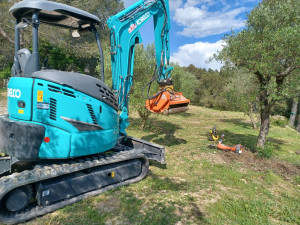 Photo de galerie - Débroussaillement du Jour.