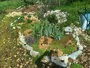 Photo de galerie - Paysagiste - Aménagement du jardin