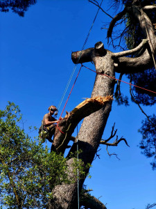 Photo de galerie - Mise en sécurité