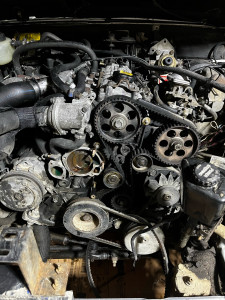 Photo de galerie - Distribution 