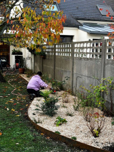 Photo de galerie - Création de massif de mi ombre - bordure et végétaux 