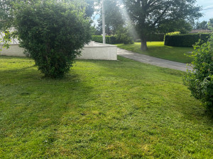 Photo de galerie - Tonte