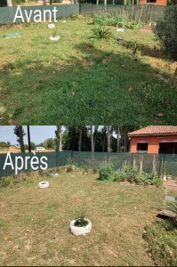 Photo de galerie - Tonte de pelouse - Débroussaillage