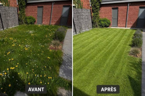 Photo de galerie - Tonte de pelouse - Débroussaillage