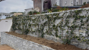 Photo de galerie - Palissage de jasmin 