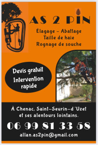 Photo de galerie - Carte de visite 