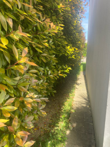 Photo de galerie - Avant 