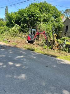 Photo de galerie - Arrachage de différents arbres et haies