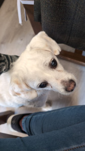 Photo de galerie - .