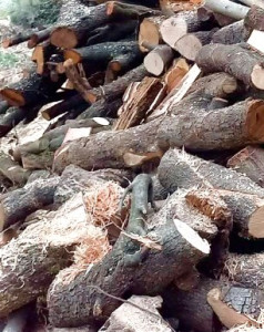 Photo de galerie - Bois de chauffage 