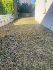 Photo de galerie - Tonte de pelouse - Débroussaillage