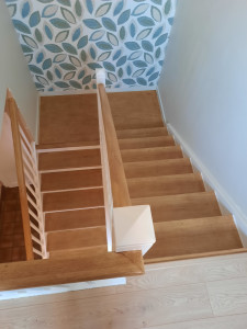 Photo de galerie - Rénovation escalier