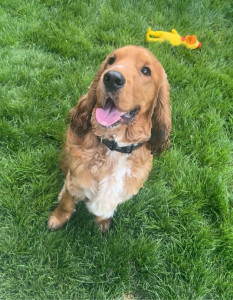 Photo de galerie - UGO