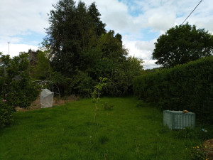 Photo de galerie - Tonte de pelouse - Débroussaillage