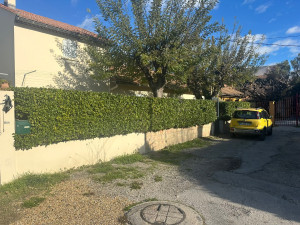 Photo de galerie - Elagage et coupe d'arbres