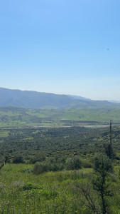 Photo de galerie - L'horizon 