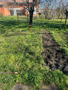 Photo de galerie - Tonte de pelouse - Débroussaillage