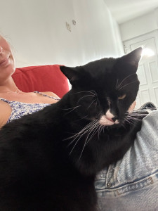 Photo de galerie - -