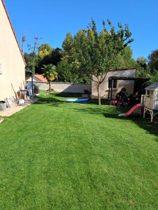 Photo de galerie - Tonte de pelouse 