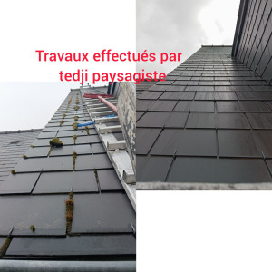 Photo de galerie - Brossage manuel d'une toiture contaminée par les mousses suivi d'un nettoyage de gouttière et application d'un produit anti-mousse rémanent qui reste sur le support 3 à 5 ans faisant office de bouclier pour éviter toute chute de recontamination