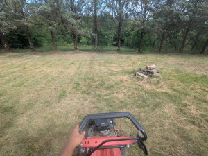 Photo de galerie - Chantier complet : élagage, débroussaillage, tonte, évacuation des déchets végétaux 