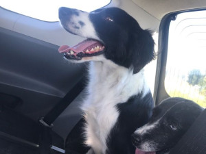 Photo de galerie - Promenade