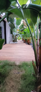 Photo de galerie - Entretien général de jardin 