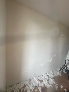 Photo de galerie - Plâtrerie - Murs - Plafonds