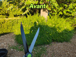 Photo de galerie - Avant: Taille 