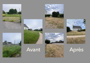 Photo de galerie - Débrousaillage + tonte sur un terrain de 600m2