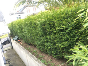 Photo de galerie - Avant