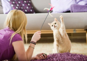 Photo de galerie - Garde chat