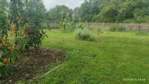 Photo de galerie - Potager et tonte de pelouse