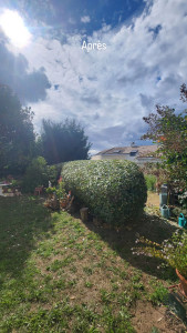 Photo de galerie - Taille de haies et d'arbustes