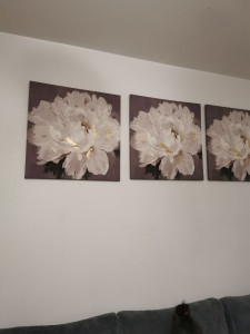 Photo de galerie - Pose de cadre décoration appartement + accessoire divers.