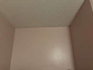 Photo de galerie - Peinture pailletée 