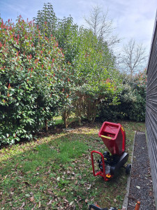 Photo de galerie - Rabattage d'une haie avec broyeur à végétaux 